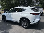 2026 Lexus NX 350 PREMIUM AWD