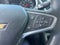 2019 Chevrolet Malibu LS 1LS