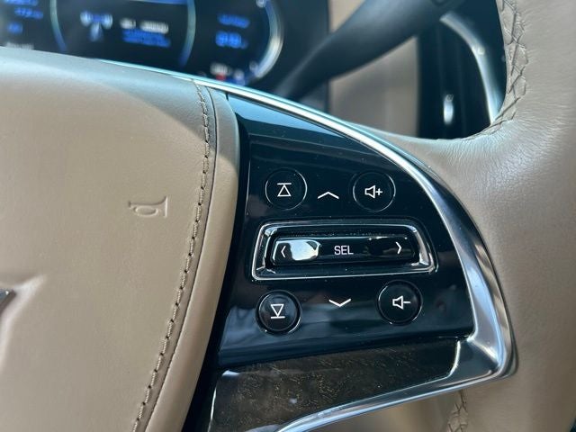 2020 Cadillac Escalade Platinum Edition
