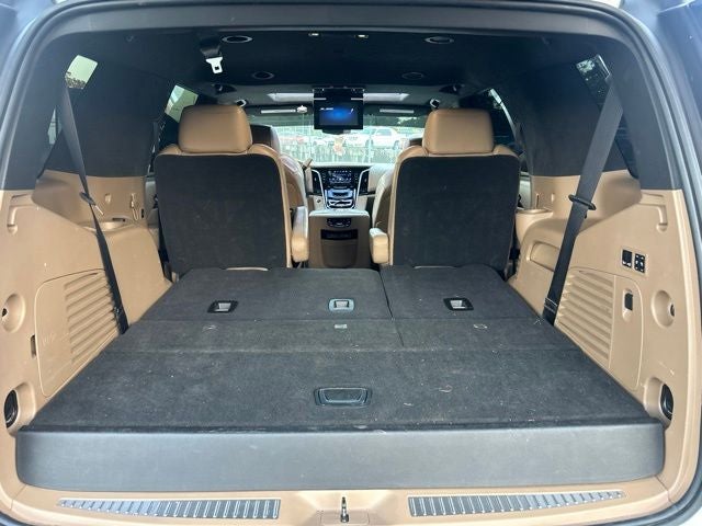 2020 Cadillac Escalade Platinum Edition