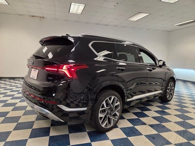 2023 Hyundai Santa Fe Calligraphy