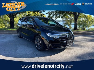 2024 Honda Odyssey Elite