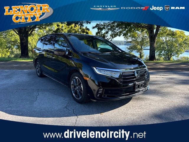 2024 Honda Odyssey Elite