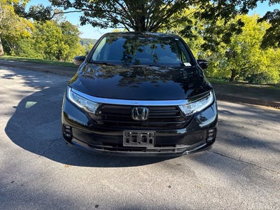 2024 Honda Odyssey Elite