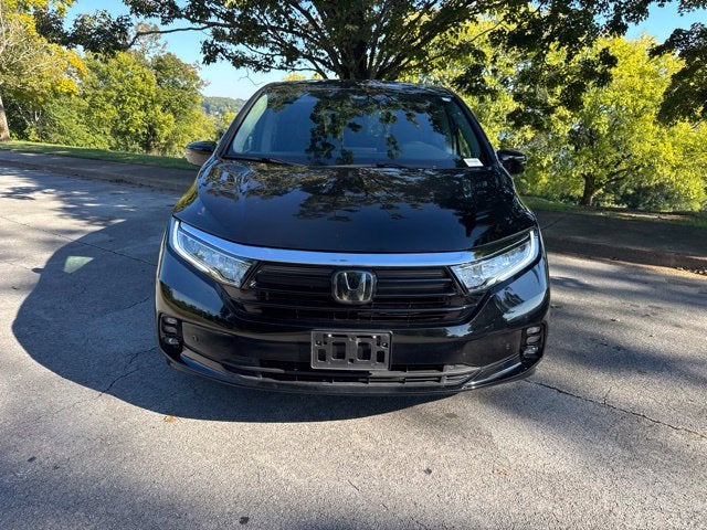 2024 Honda Odyssey Elite