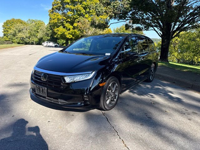 2024 Honda Odyssey Elite