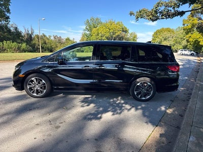 2024 Honda Odyssey Elite