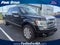 2013 Ford F-150 Platinum