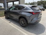 2024 Lexus NX 250 Base