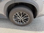2024 Lexus NX 250 Base