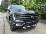 2021 Ford F-150 Tremor