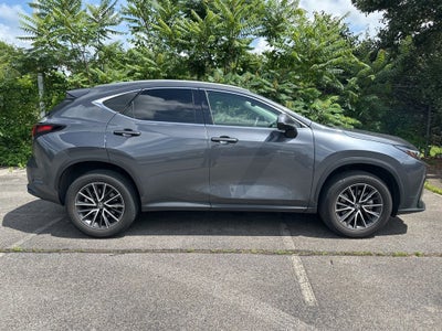 2024 Lexus NX 250 Premium