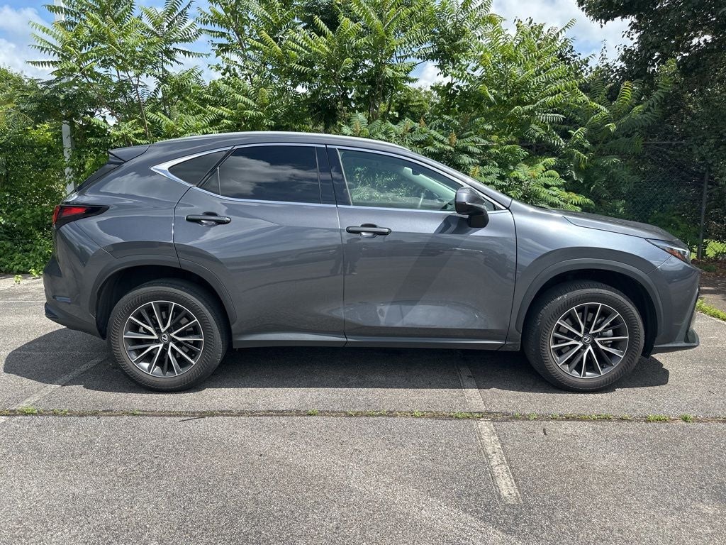 2024 Lexus NX 250 Premium