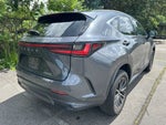 2024 Lexus NX 250 Premium