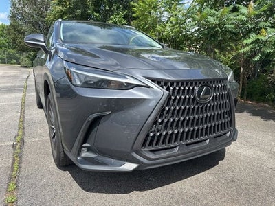 2024 Lexus NX 250 Premium