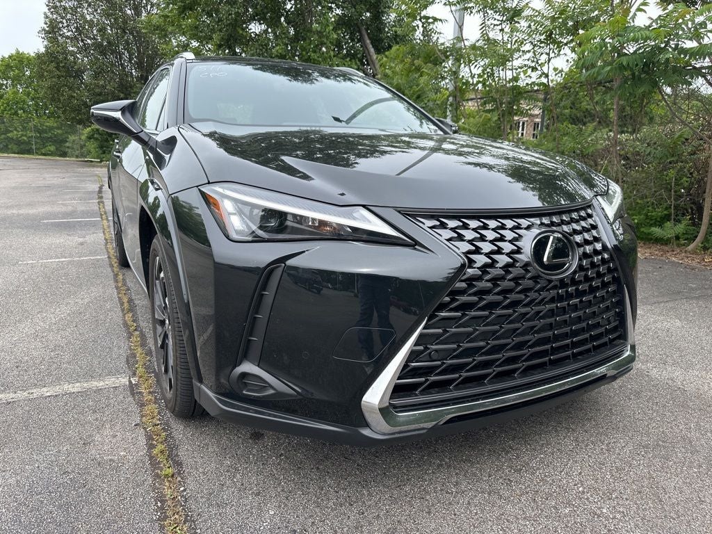 2025 Lexus UX 300h Premium