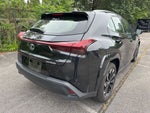 2025 Lexus UX 300h Premium