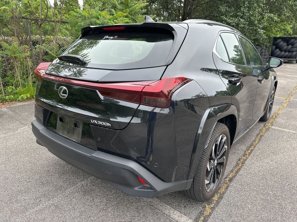 2025 Lexus UX 300h Premium
