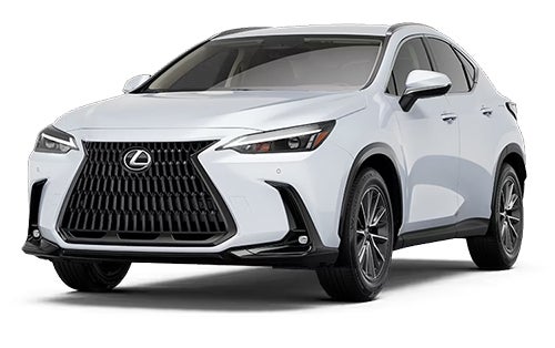 NX Hybrid
