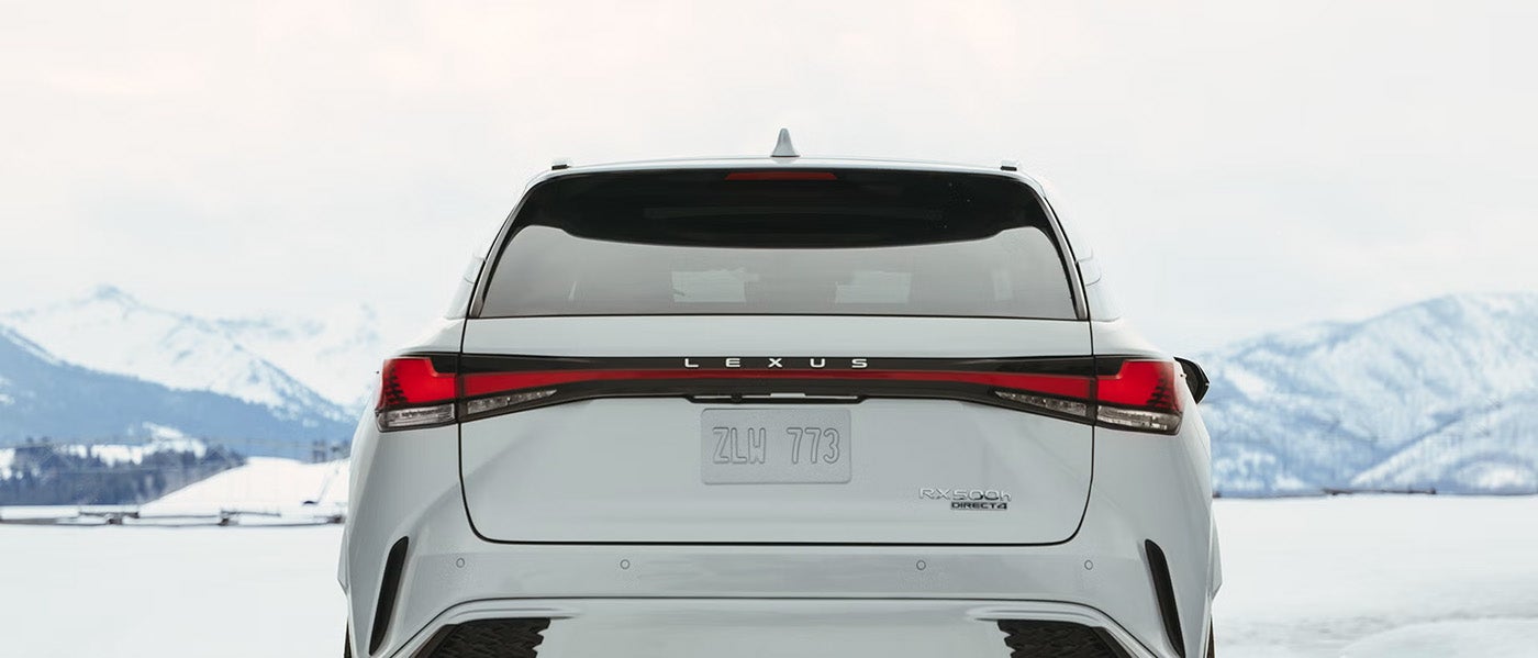 Rear End Lexus View