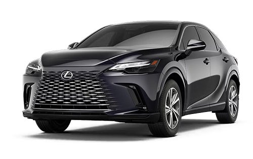 RX Hybrid